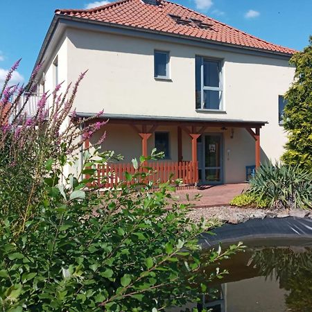 Ferienwohnung Toelle Bad Rehburg Kültér fotó