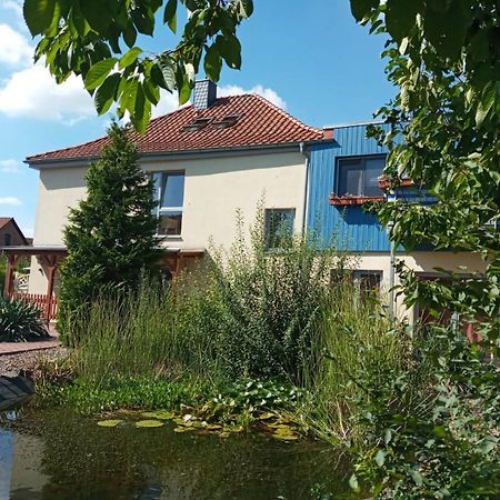 Ferienwohnung Toelle Bad Rehburg Kültér fotó